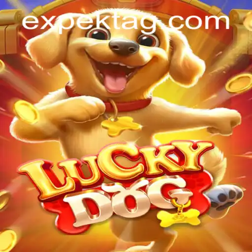 Exploring LuckyDog: A Thrilling Journey into the World of 70.bet